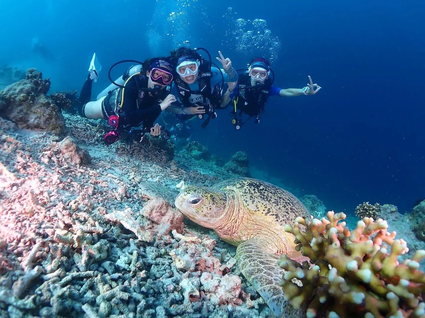 diver over the kapalai sandbar in clear shallow water
