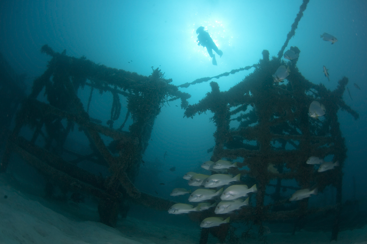 diver on the mabul house reef while waiting for a sipadan permit