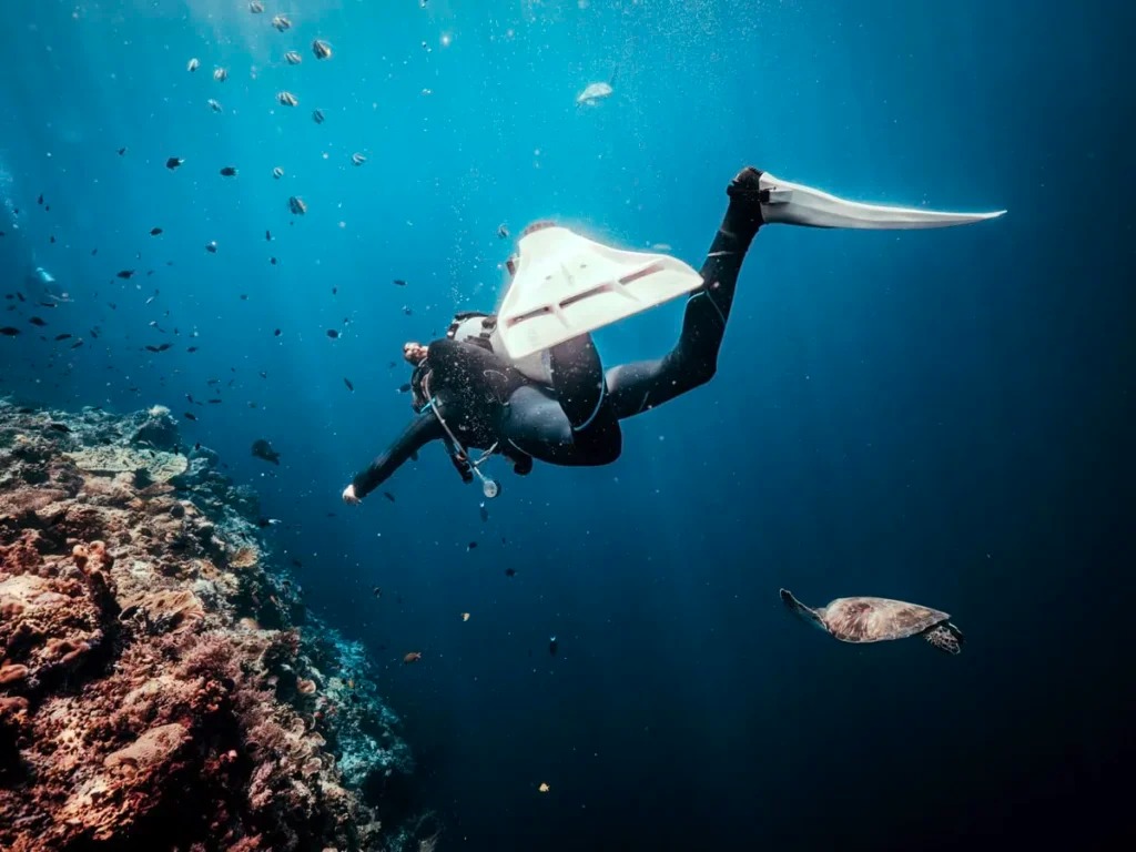 experienced diver checking dive computer on the sipadan wall