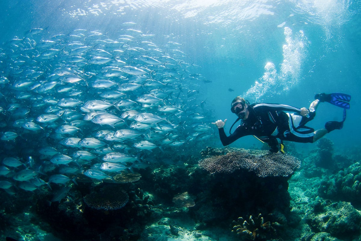 the sipadan diving team in sabah