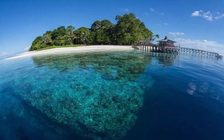 sipadan island diving aerial view of reef and drop off