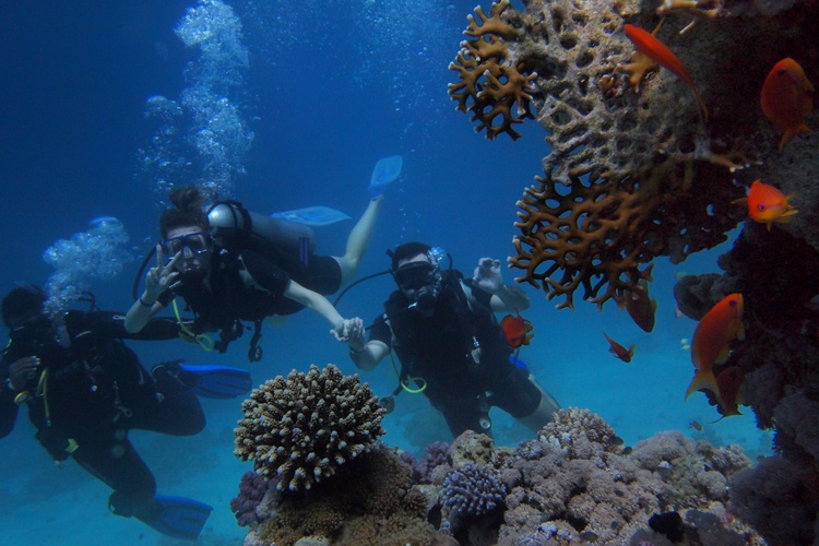 group of divers on the boat on a sipadan permit day