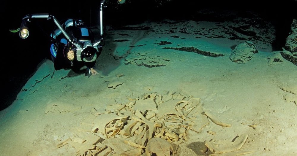 turtle skeleton in the turtle tomb chamber at sipadan